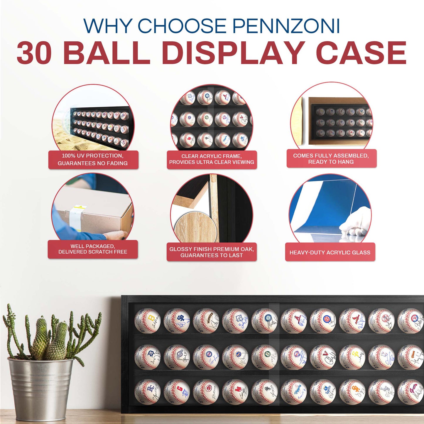 Baseball and Hockey Puck Display (Holds 30 Balls)