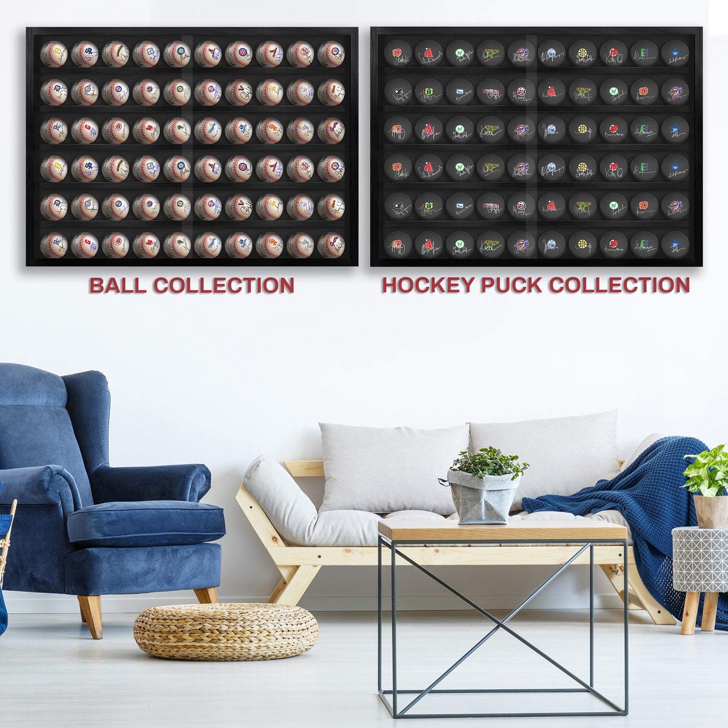 Baseball and Hockey Puck Display (Holds 60 Balls)