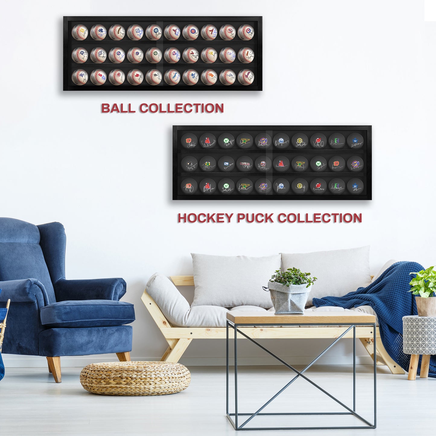 Baseball and Hockey Puck Display (Holds 30 Balls)