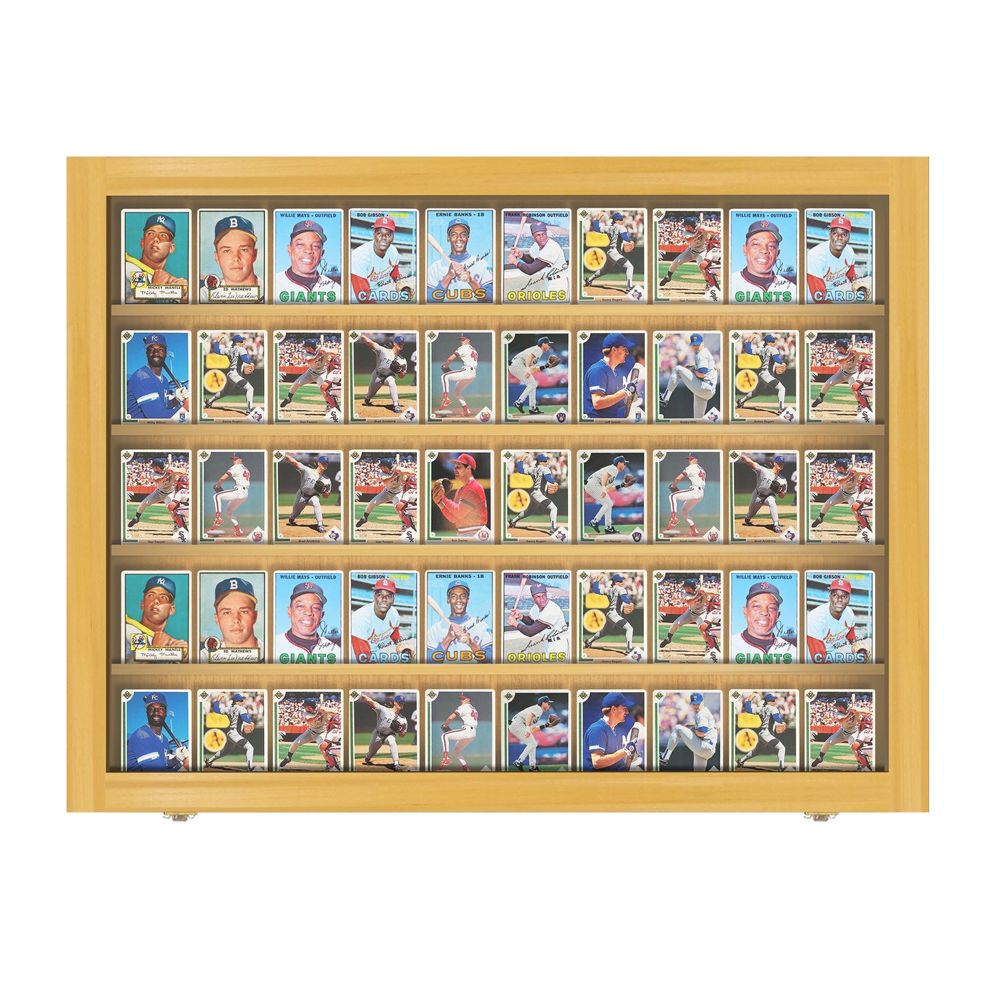 50 Ungraded - Card Display