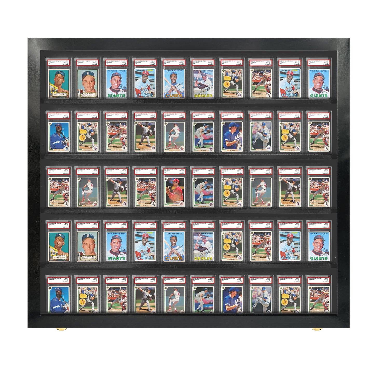 50 Graded PSA - Card Display