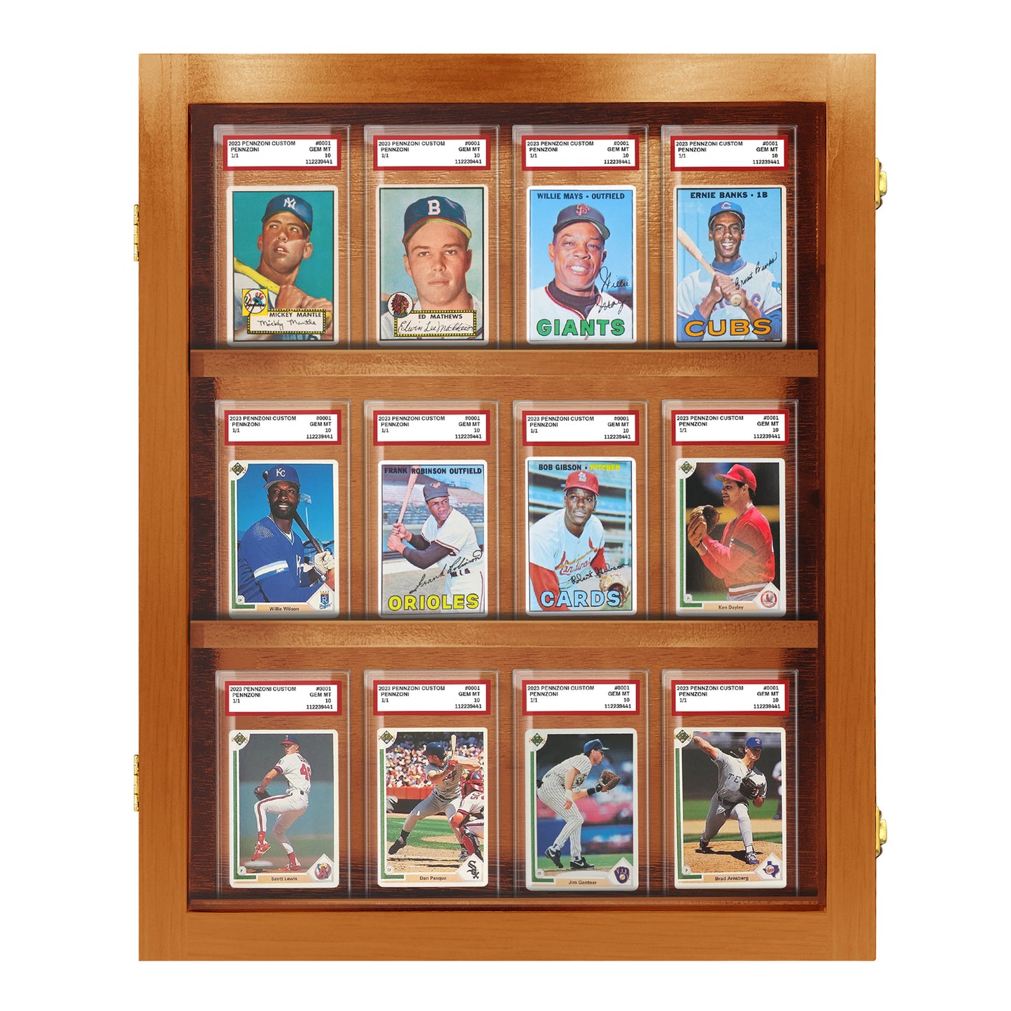 12 Graded PSA- Cards Display