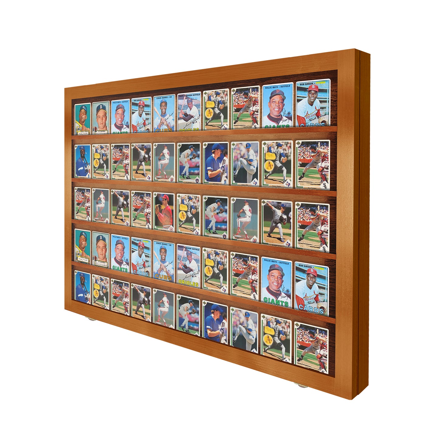 50 Ungraded - Card Display