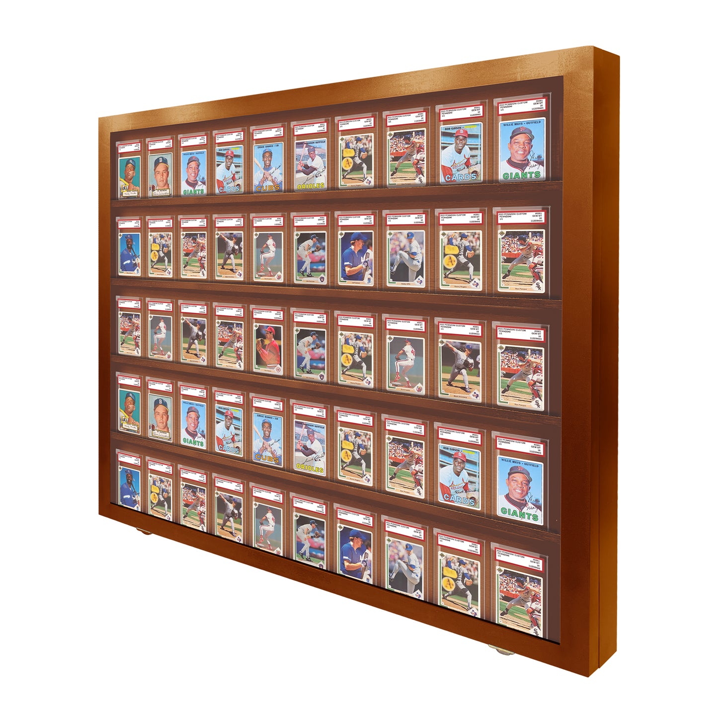 50 Graded PSA - Card Display