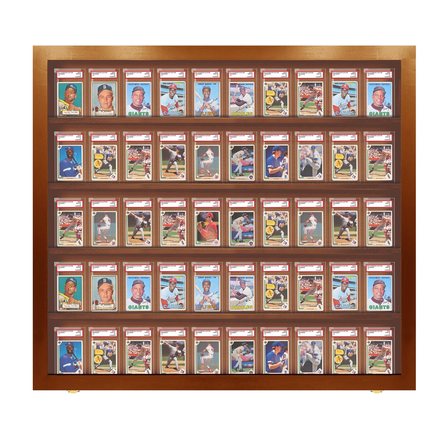 50 Graded PSA - Card Display