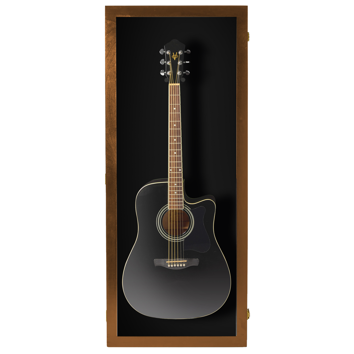 Acoustic Guitar Display Case