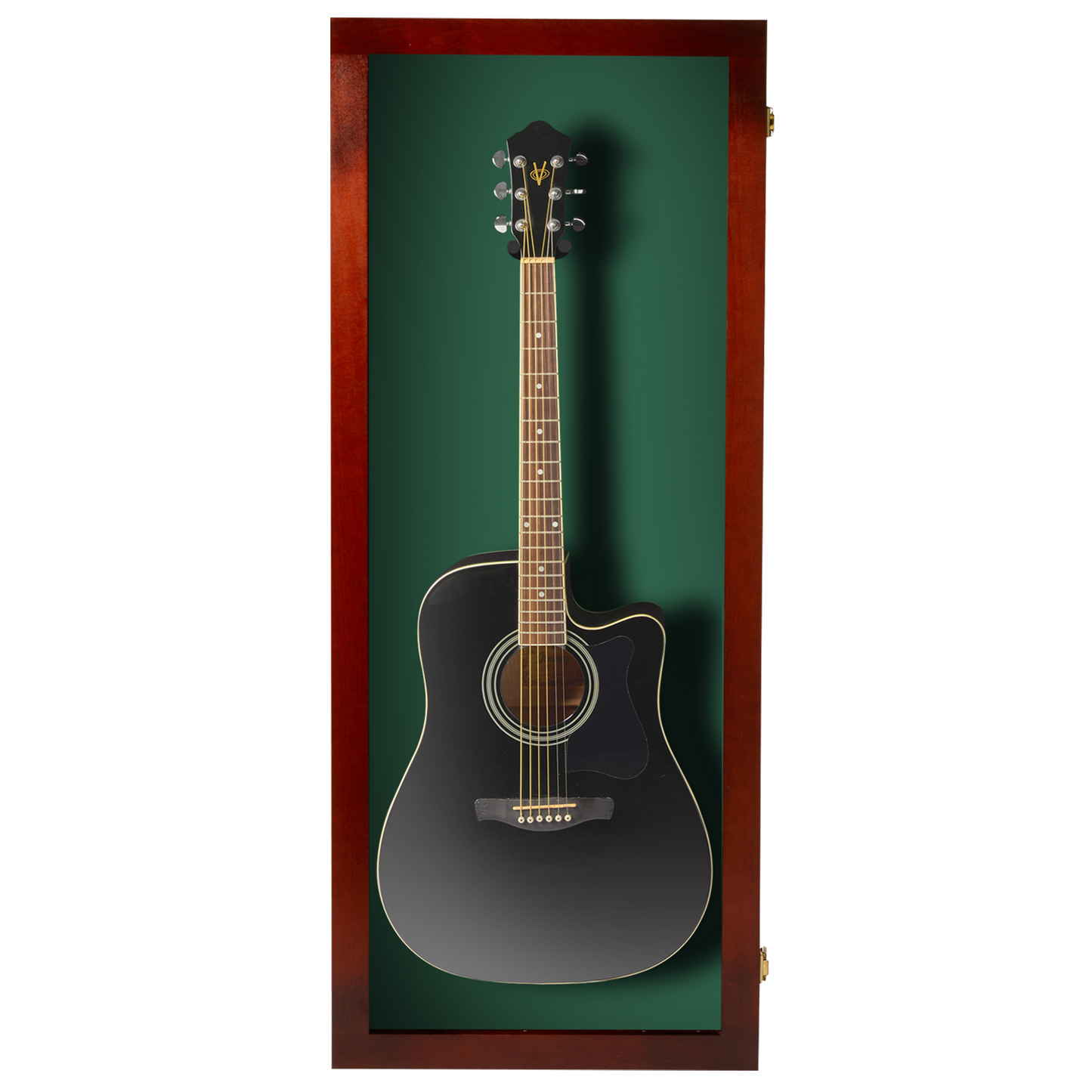 Acoustic Guitar Display Case