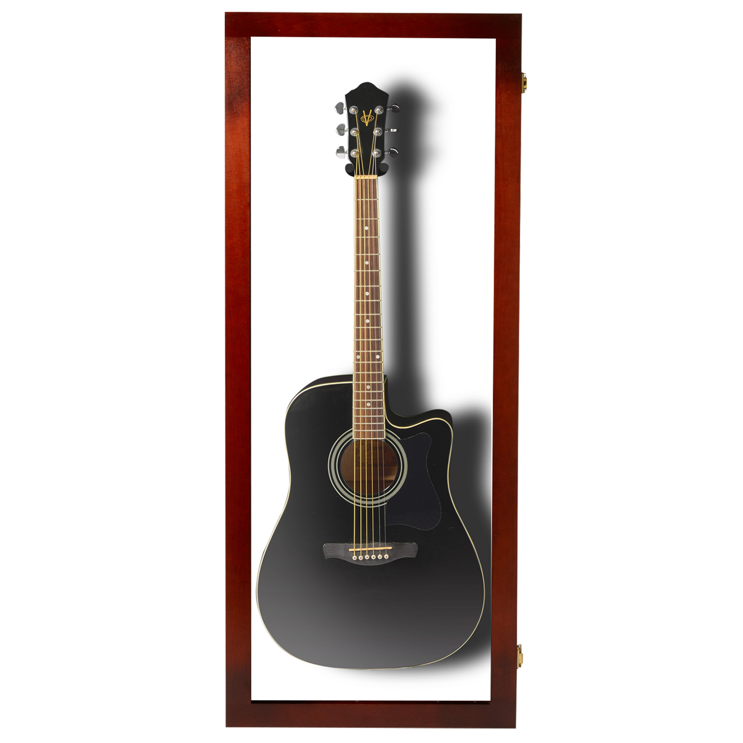 Acoustic Guitar Display Case