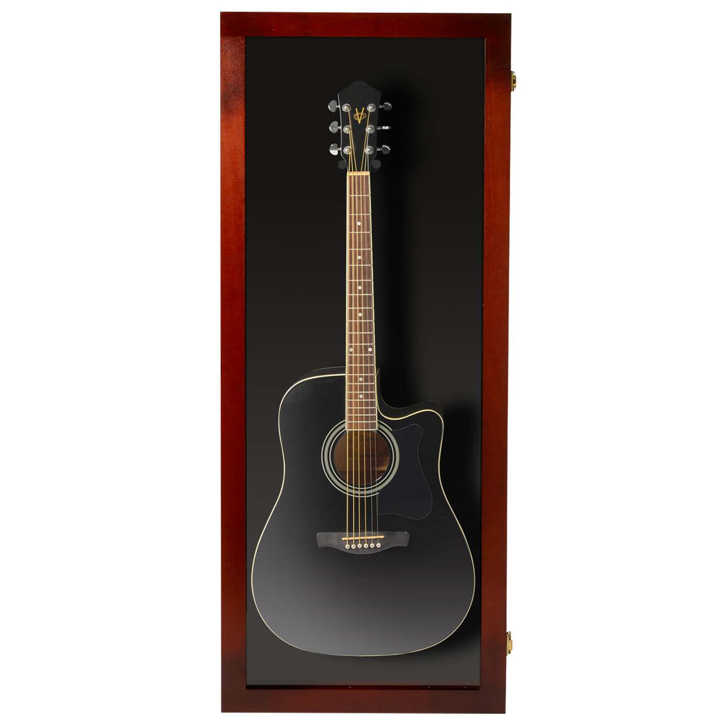 Acoustic Guitar Display Case