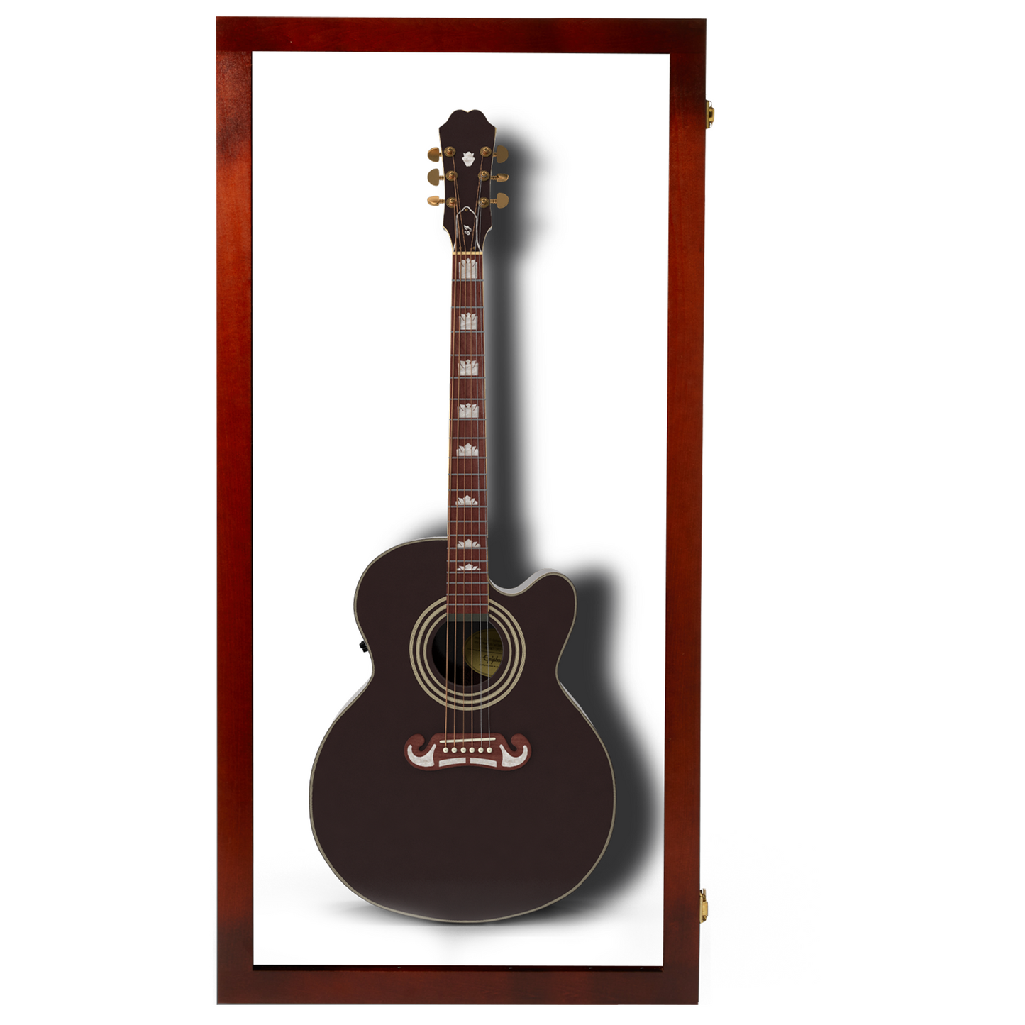 Extra Large Acoustic Guitar Case