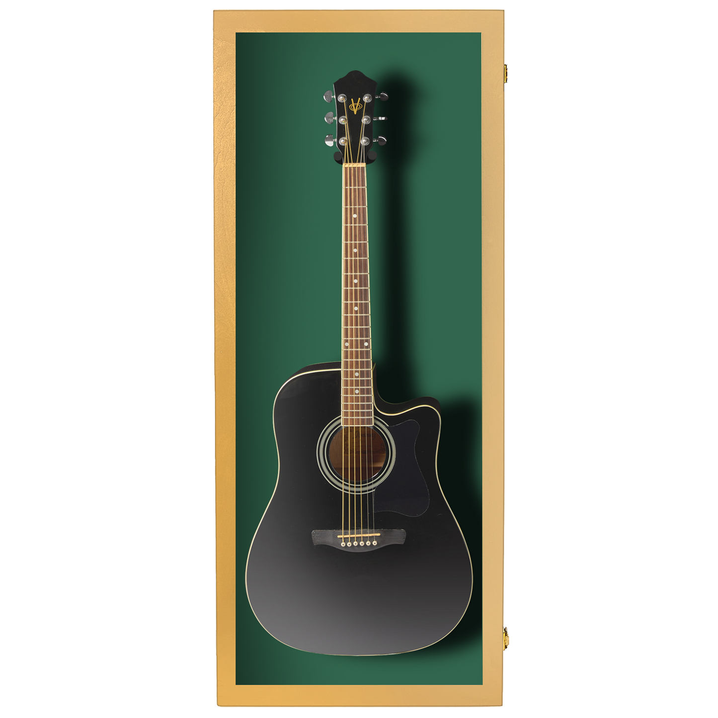 Acoustic Guitar Display Case