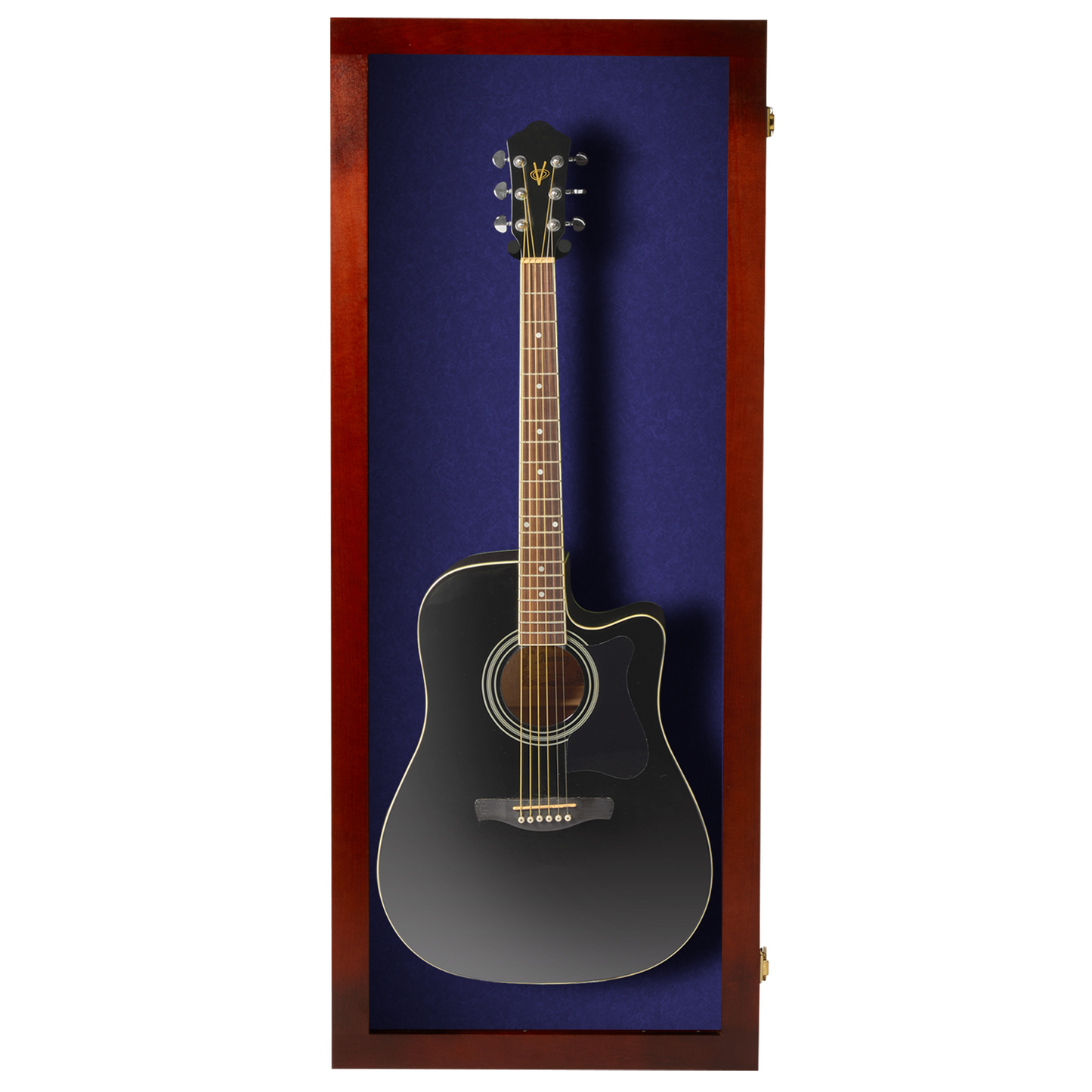 Acoustic Guitar Display Case