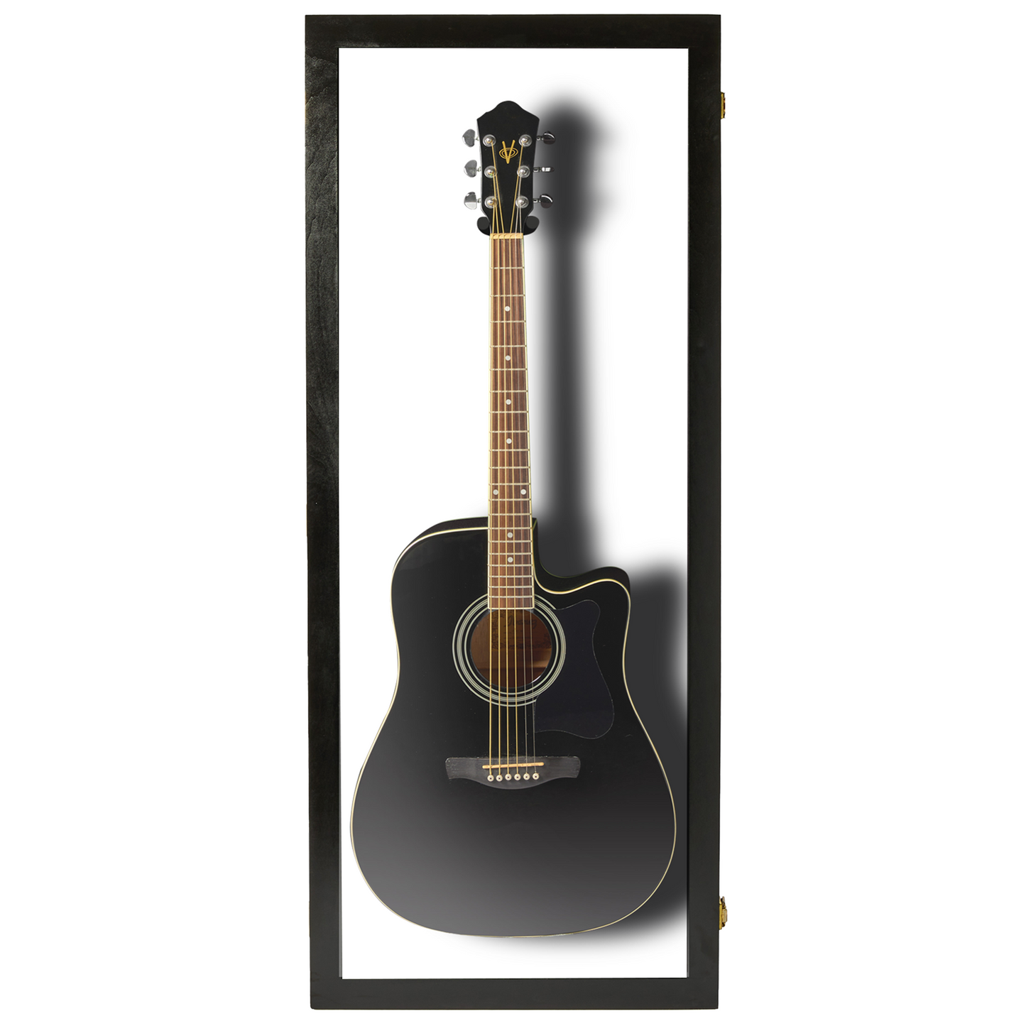 Acoustic Guitar Display Case