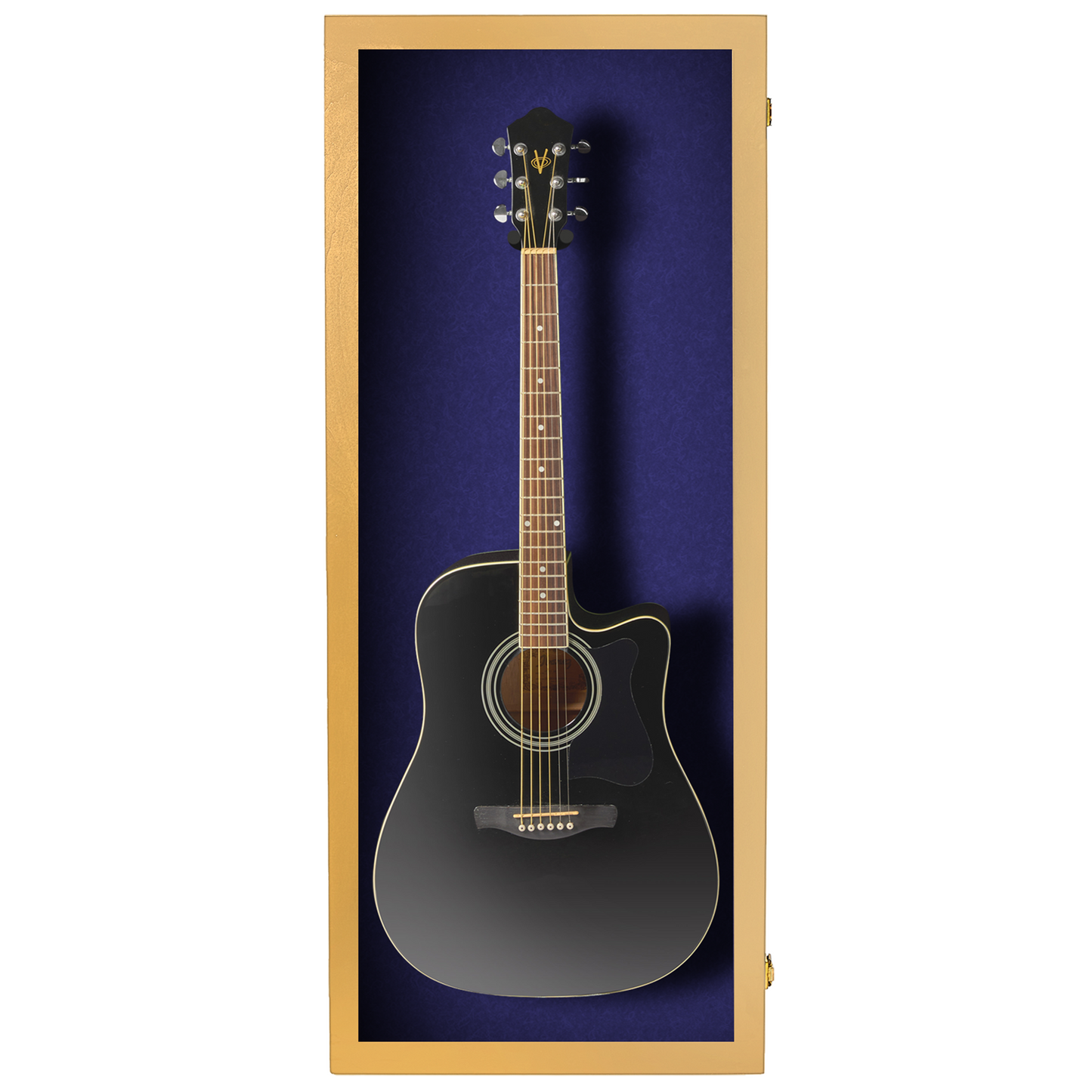 Acoustic Guitar Display Case