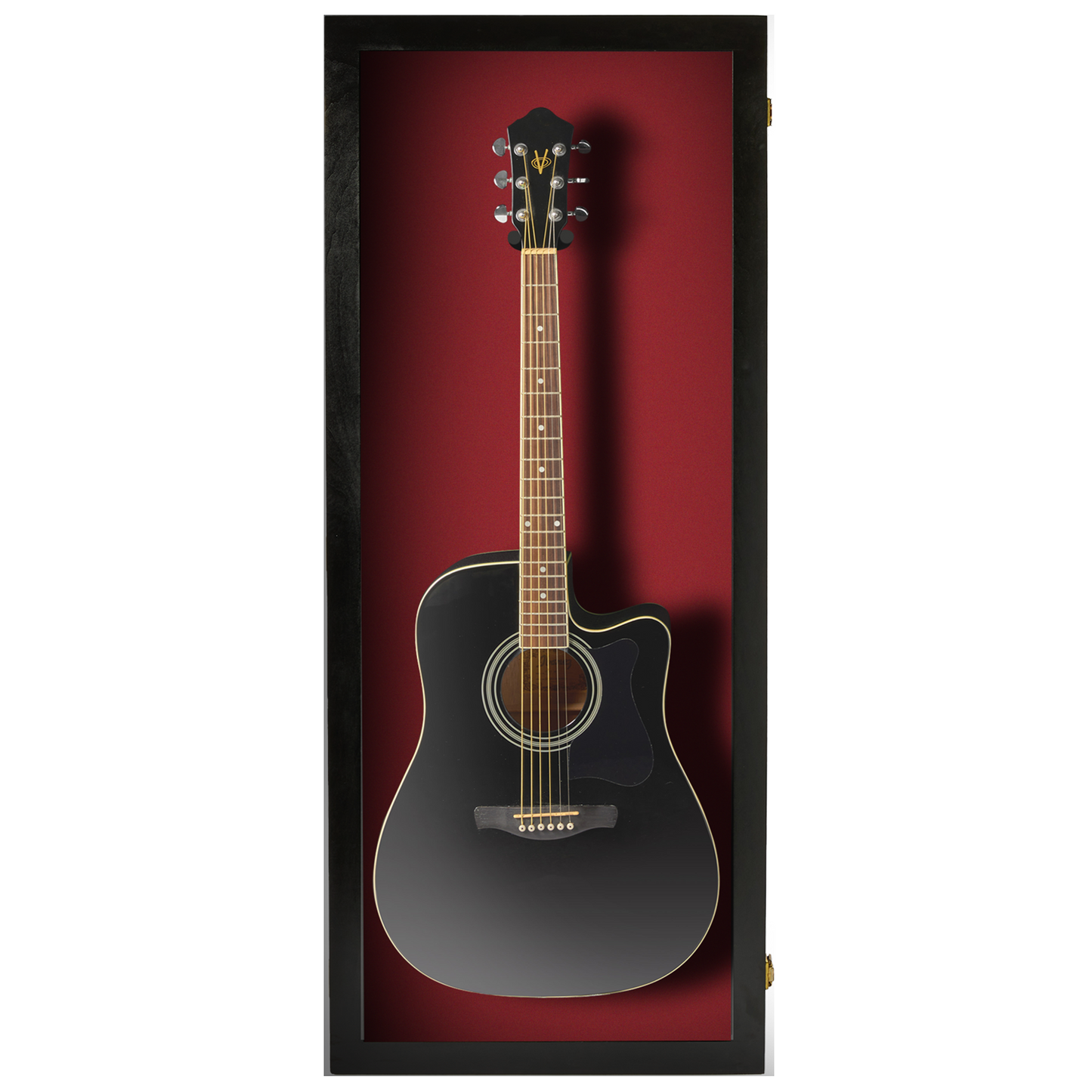 Acoustic Guitar Display Case