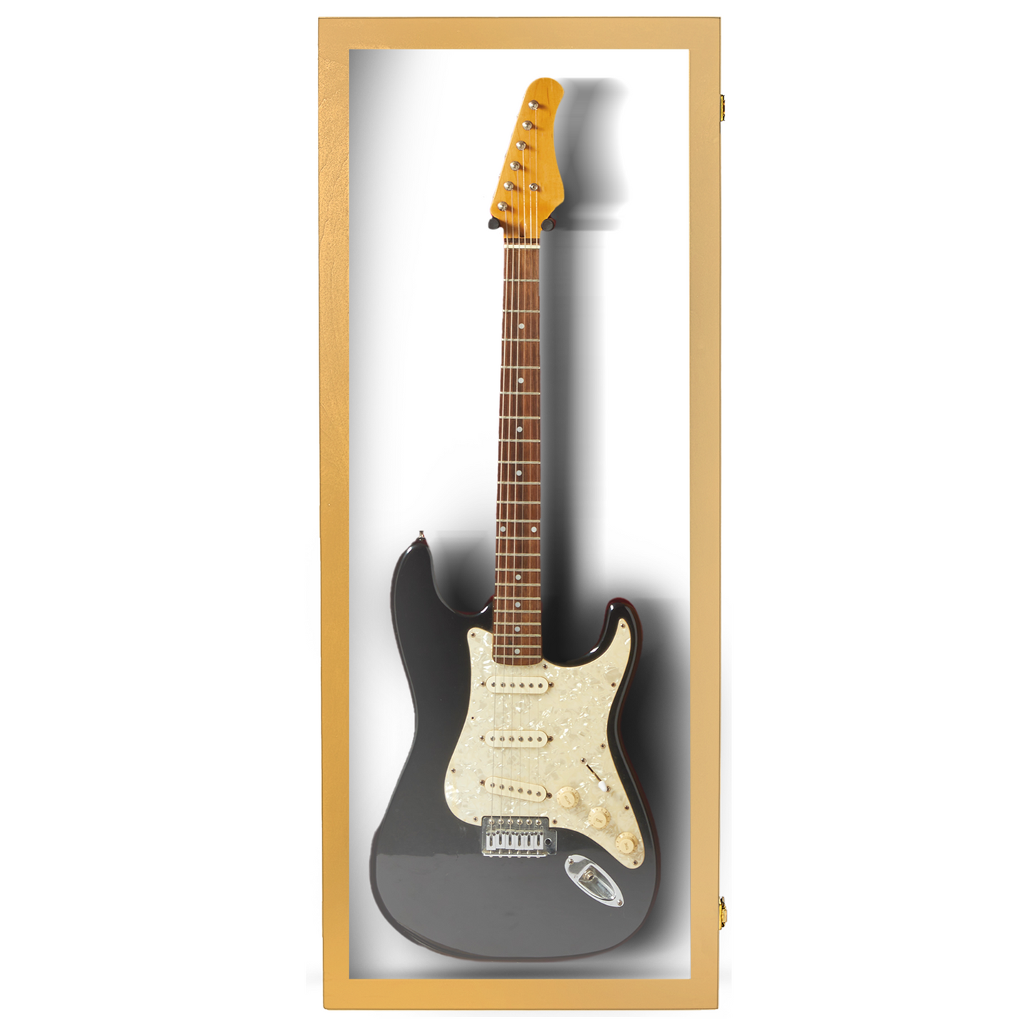 Electric Guitar Display Case