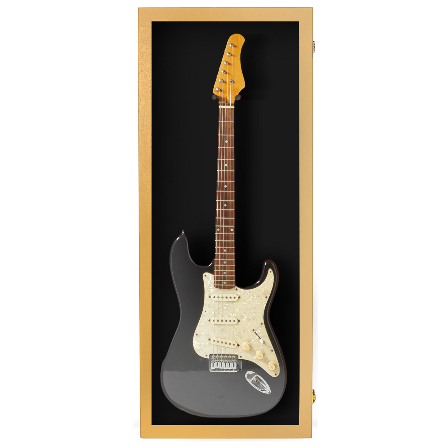 Electric Guitar Display Case