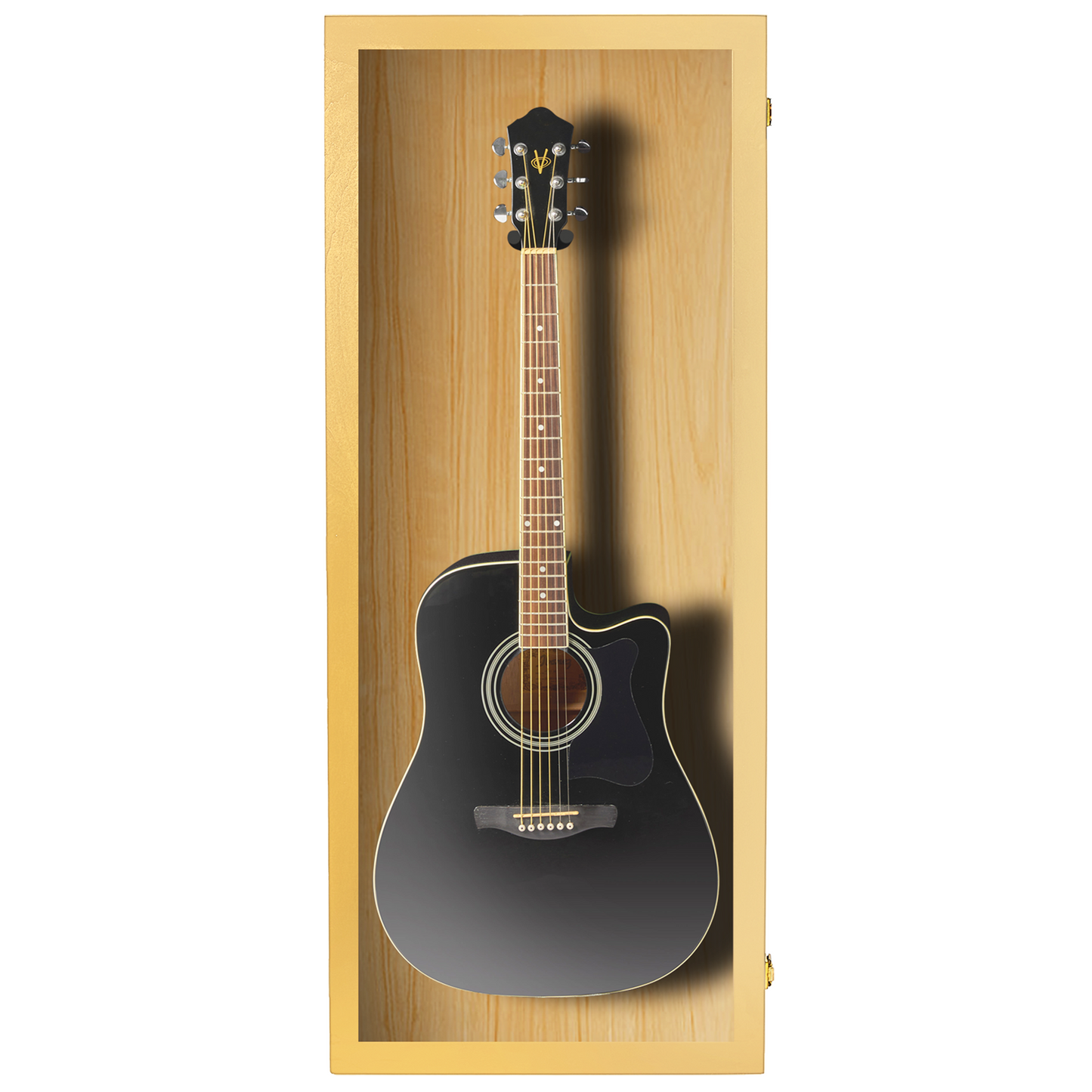 Acoustic Guitar Display Case