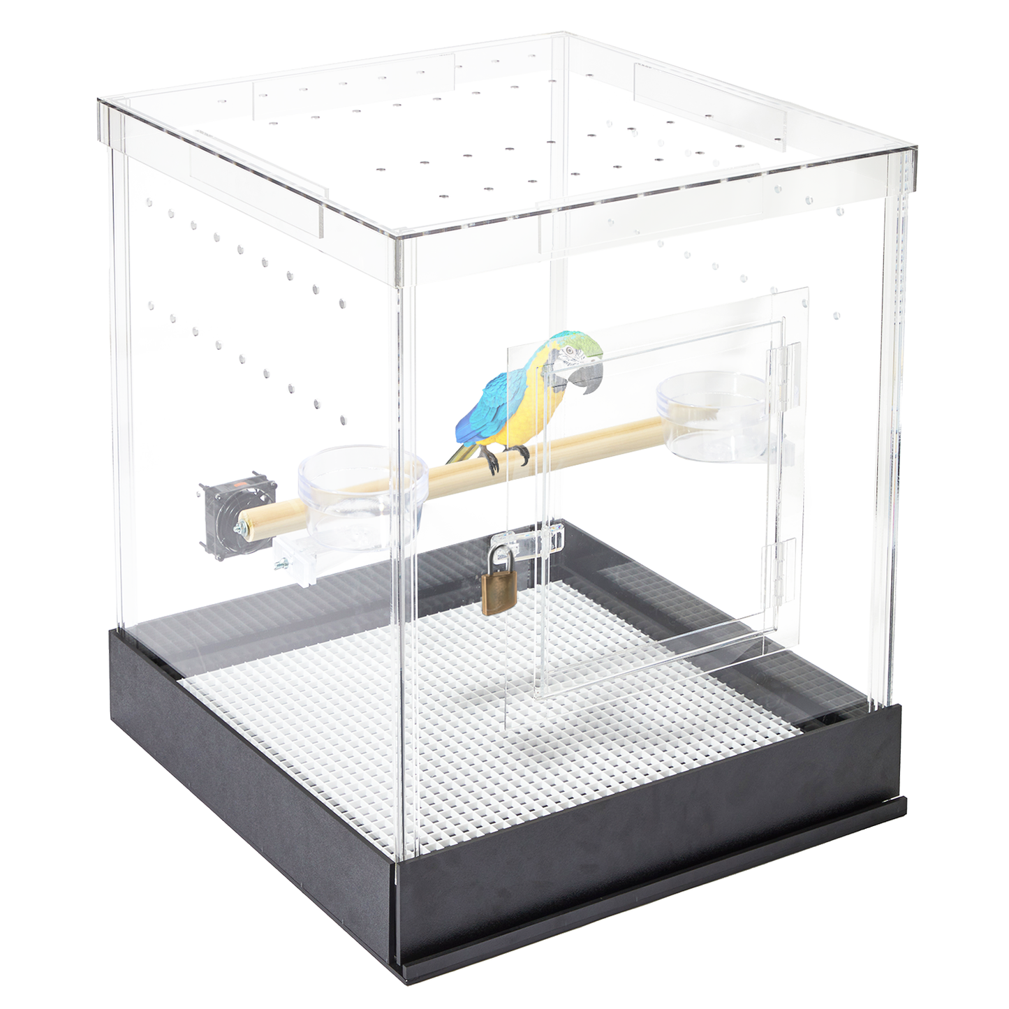 Small Acrylic Bird Cage