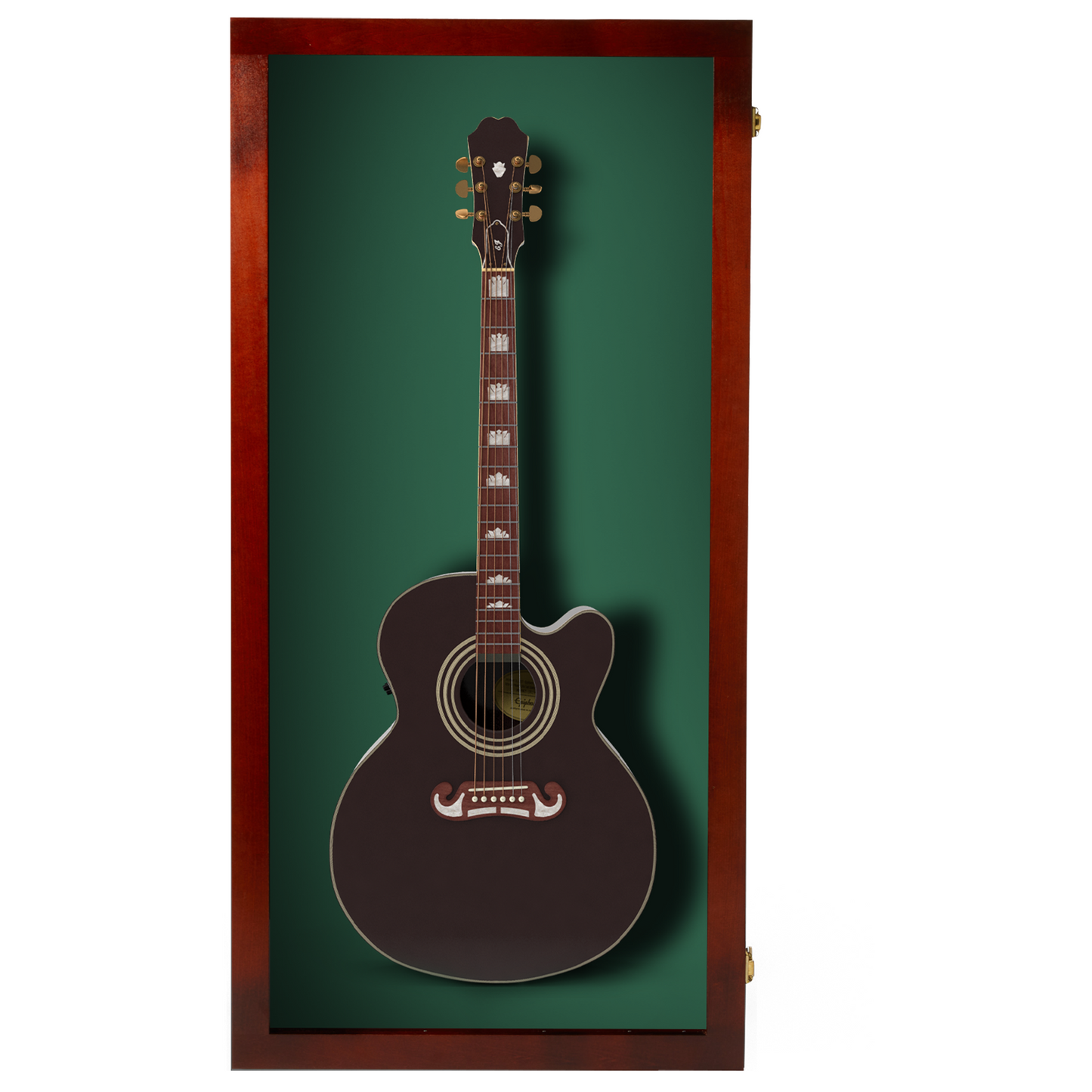 Extra Large Acoustic Guitar Case