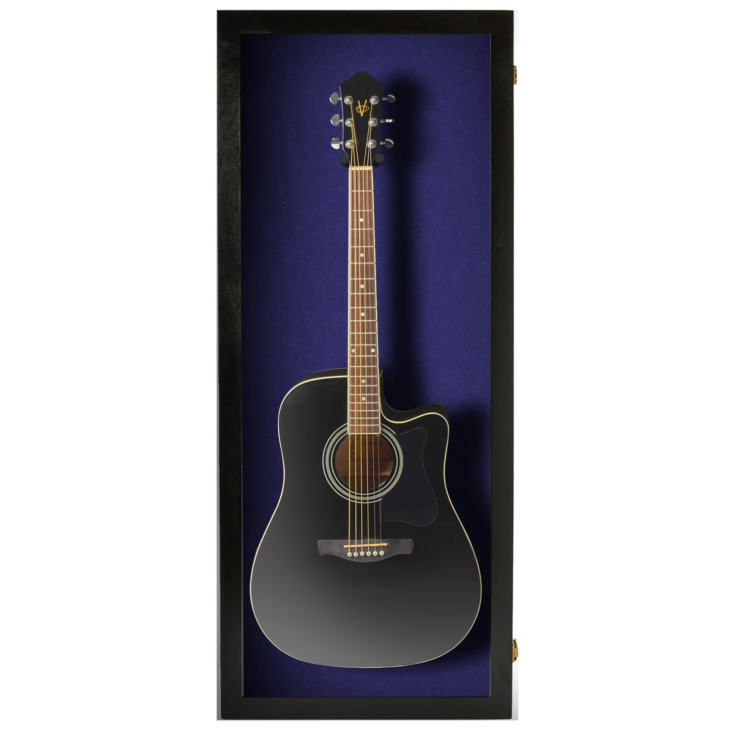 Acoustic Guitar Display Case