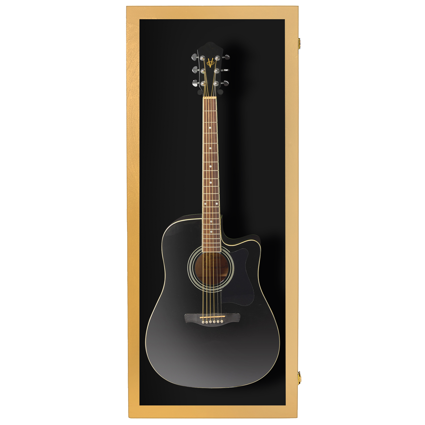 Acoustic Guitar Display Case