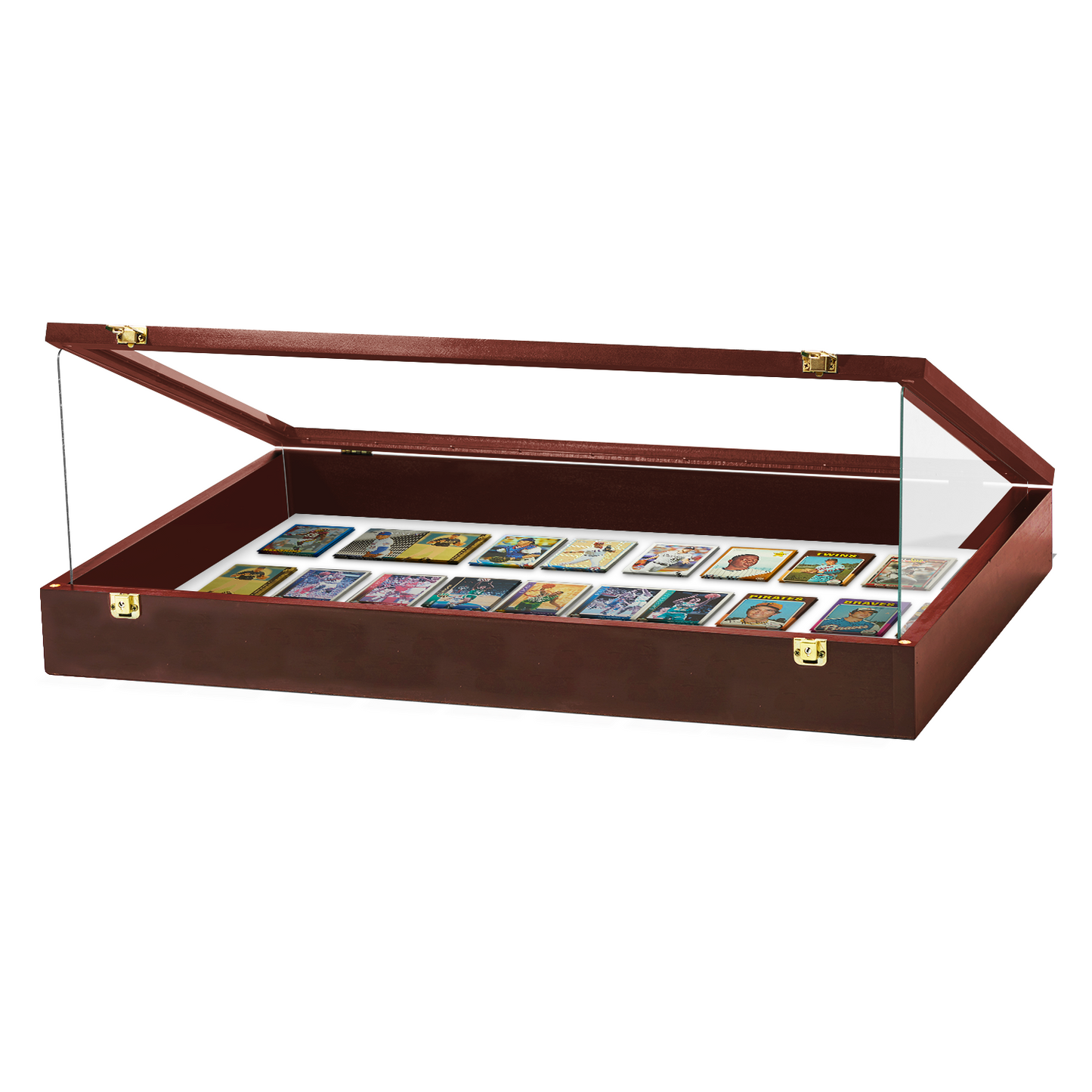 Trade Show Display Case Portable - w/ Acrylic Side Guards