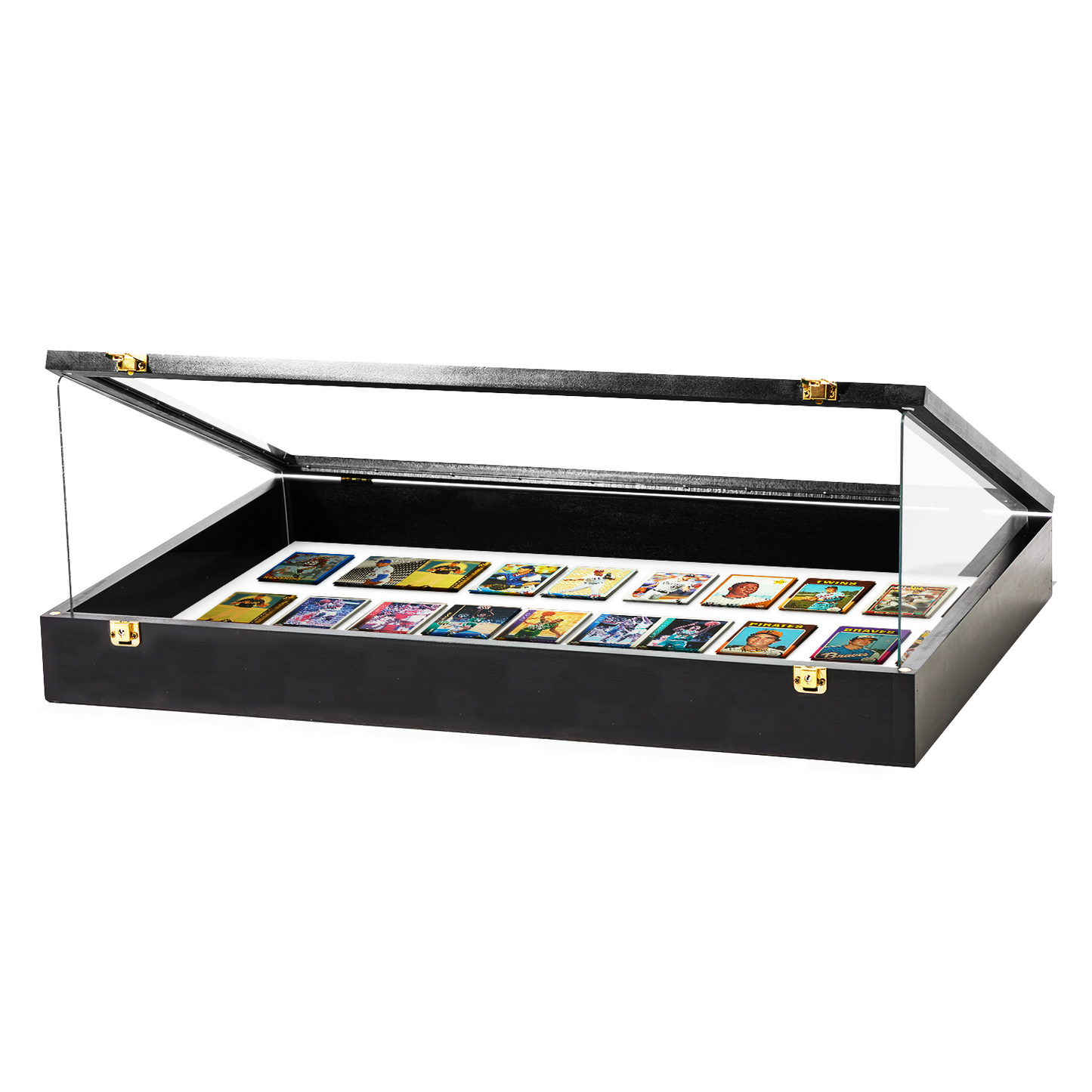 Trade Show Display Case Portable - w/ Acrylic Side Guards