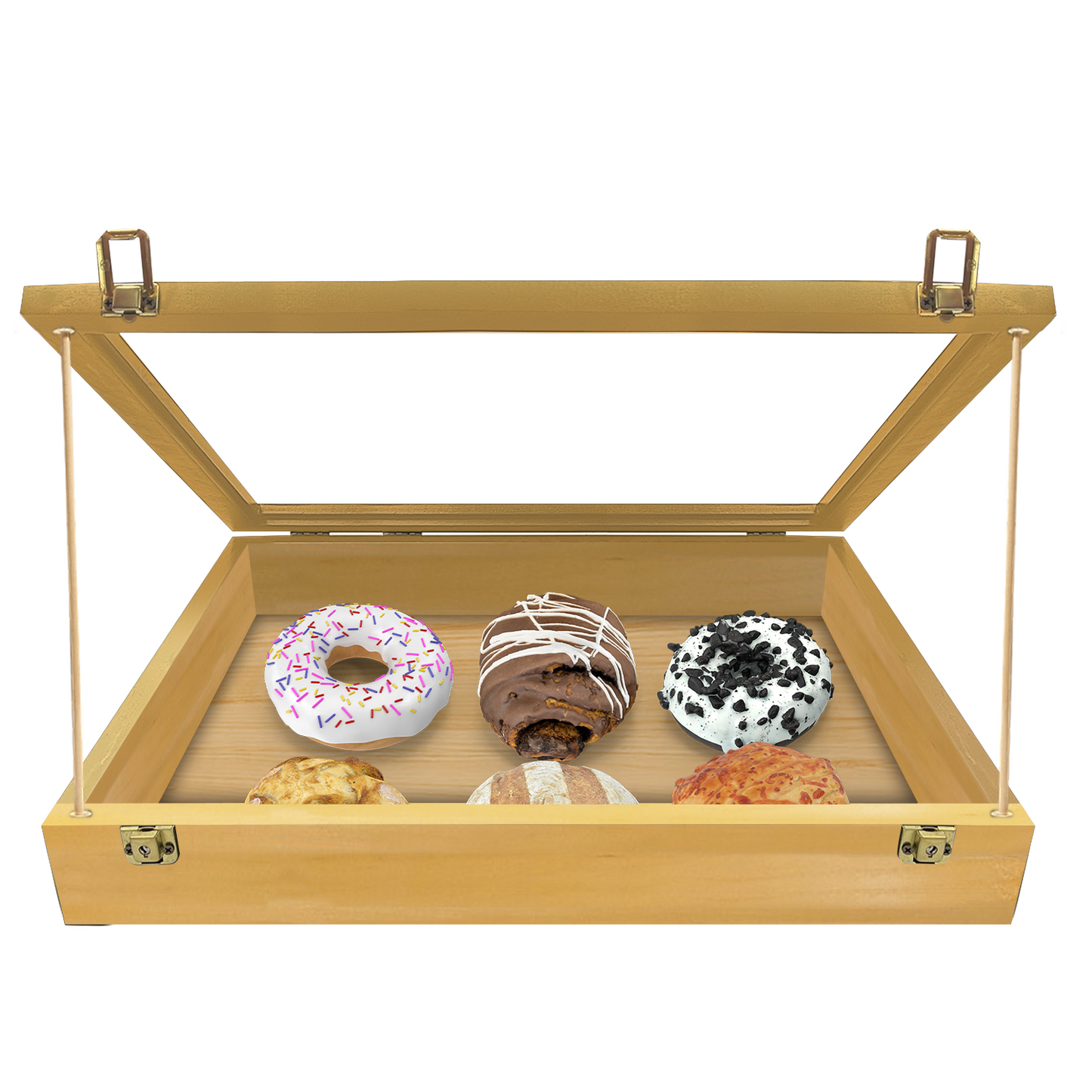 Trade Show Display Case - Small - 18 x 22 x 4"