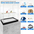 Macaw Acrylic Bird Cage | Spacious & Safe – pennzonidisplay