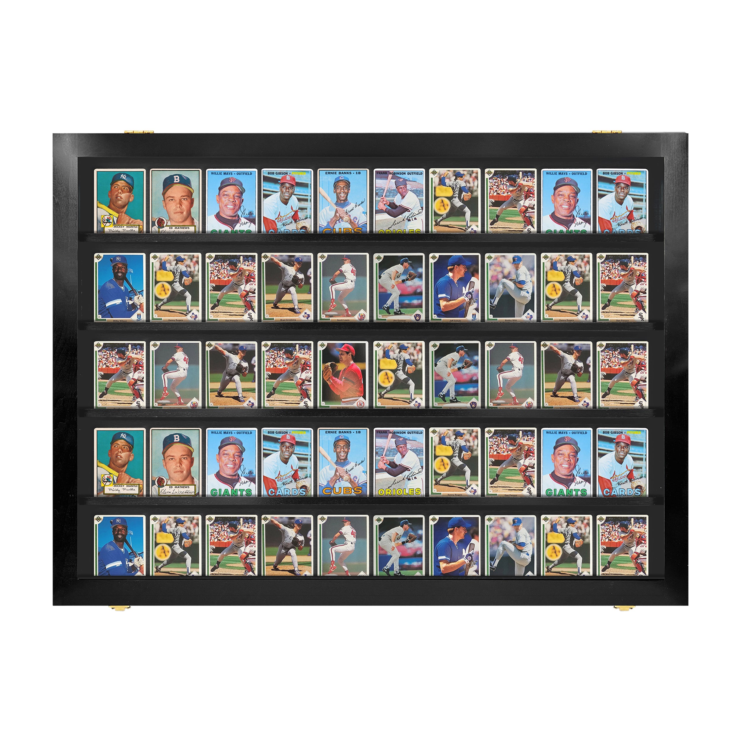 50 Ungraded - Card Display 50 Ungraded - Card Display