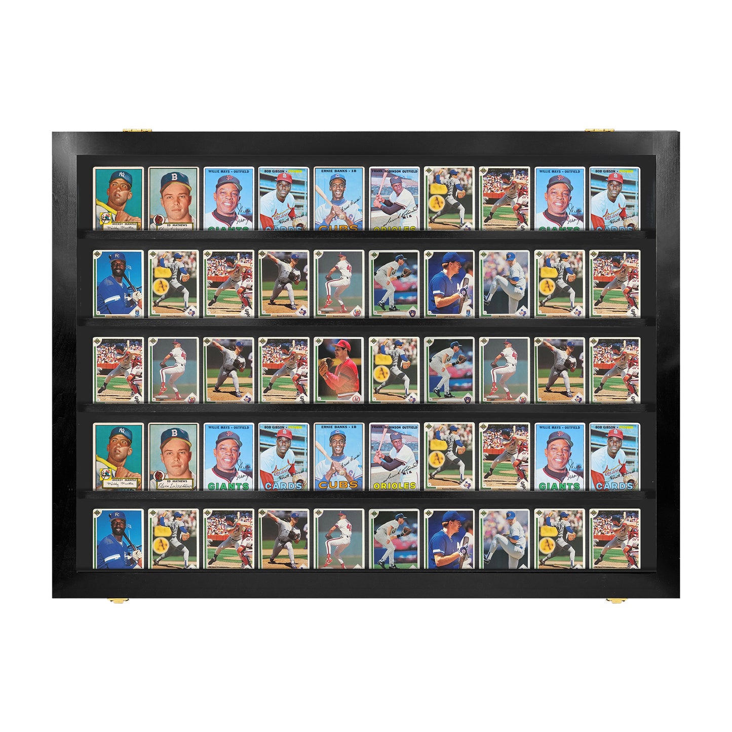 50 Ungraded - Card Display