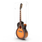 Clear Acrylic Acoustic Guitar Display Case