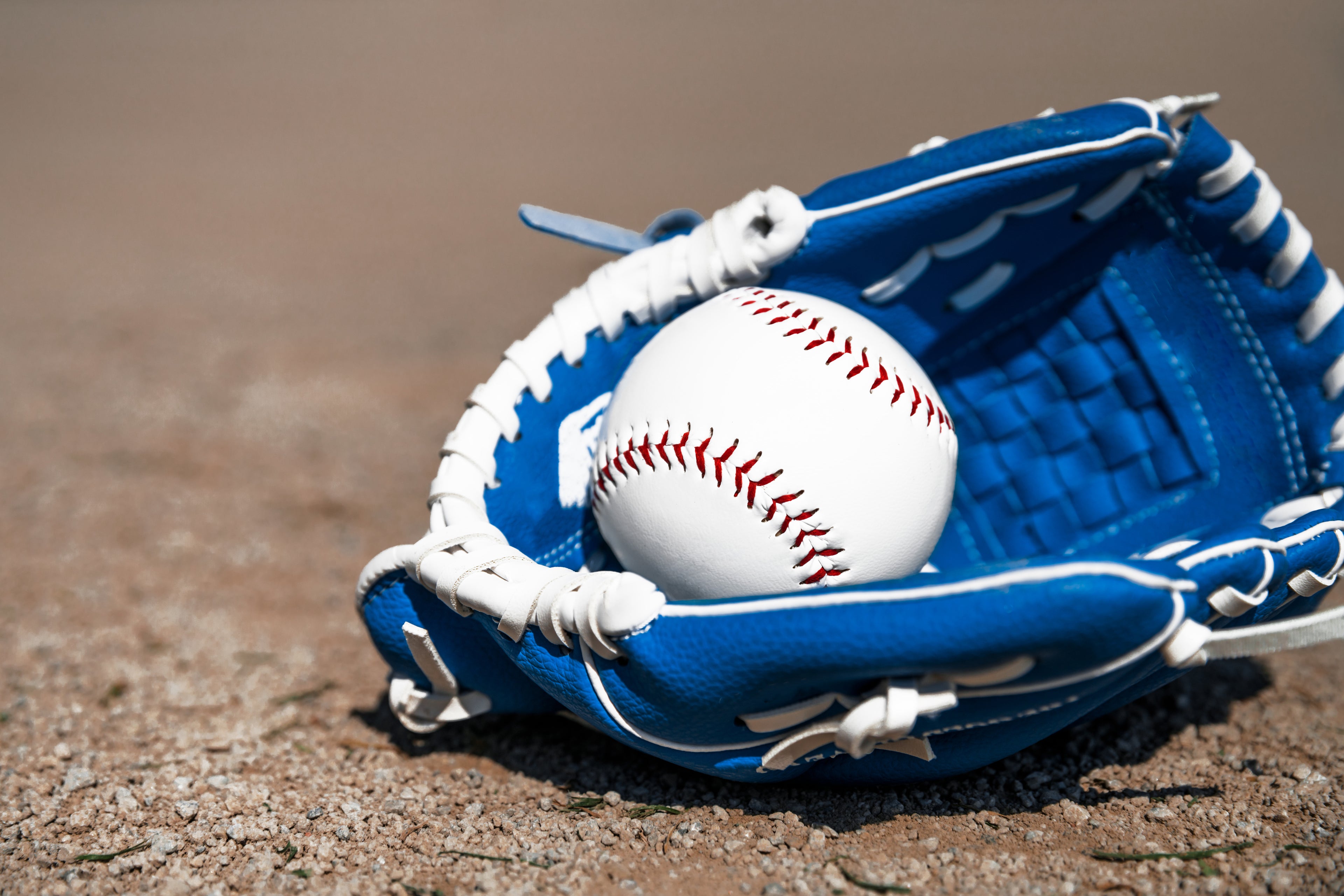 Oak Baseball Card Storage: Secure Case – pennzonidisplay