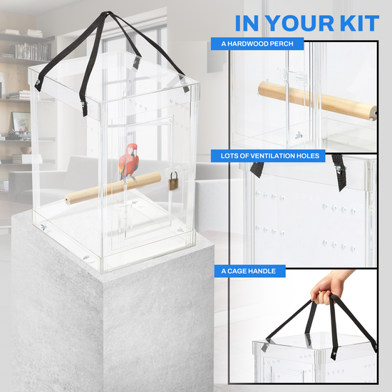 Acrylic Bird Carrier Safe & Transparent pennzonidisplay
